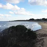 Posidonia