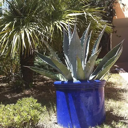 Casa vacanze Posidonia *