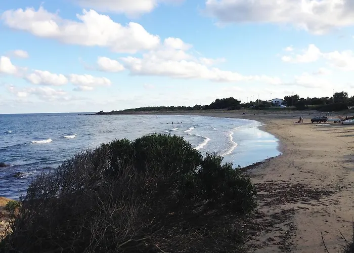 Posidonia